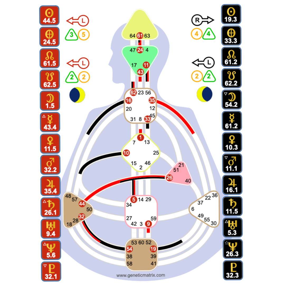 Human Design en action